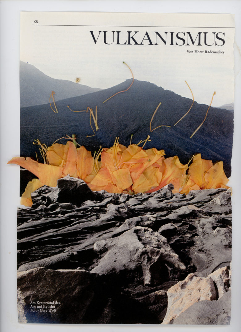 vulkanismus montage photo et plantes